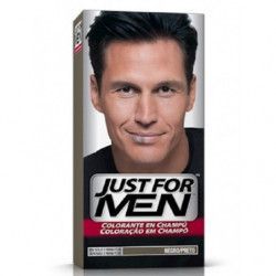 JUST FOR MEN CHAMPU...