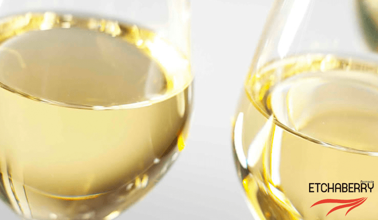 Los beneficios para la salud de tomar vino blanco!