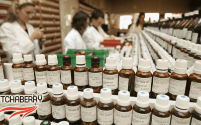HomeopatÃ­a, Â¿la mejor aliada contra las epidemias?