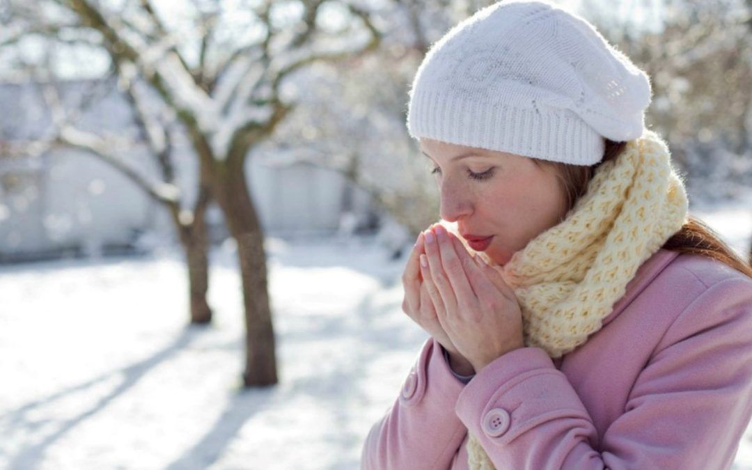 DISFRUTA DE UN INVIERNO SALUDABLE